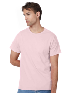Hanes Men's Authentic T-Shirt - 5250